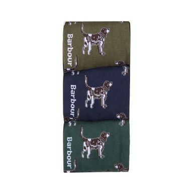 Barbout Pointer Dog Socks Gift Box — Mixed