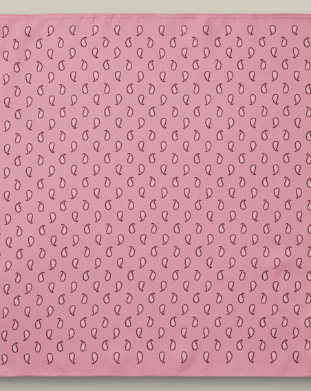 Charles Tyrwhitt Silk Paisley Pocket Square — Pink
