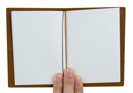 TRAVELER'S Notebook — Camel (Passport)