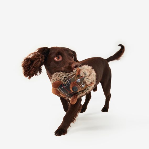 Barbour Hedgehog Dog Toy