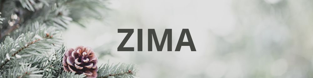 Zima