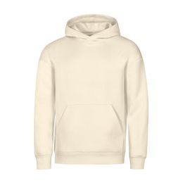 KAPUZENPULLOVER VIBE HOODIE - SWEATSHIRTS OHNE REISSVERSCHLUSS - KLEIDUNG