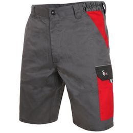 ARBEITSSHORTS CXS PHOENIX ZEFYROS - ARBEITSSHORTS - ARBEITS KLEIDUNG