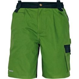 ARBEITSSHORTS STANMORE - ARBEITSSHORTS - ARBEITS KLEIDUNG