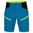HERREN-SOFTSHELL-SHORTS ARDON CITYCONIC - BLAU - SPORT SHORTS - SPORT KLEIDUNG
