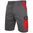 ARBEITSSHORTS CXS PHOENIX ZEFYROS - GRAU / ROT - ARBEITSSHORTS - ARBEITS KLEIDUNG