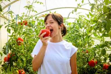 Ako vyčistiť škvrny od paradajok?