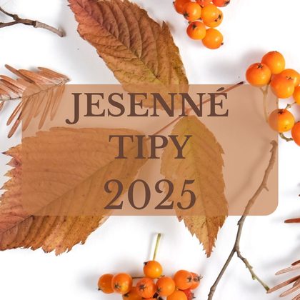 Objavte čaro jesene v pohodlných outfitoch roka 2025