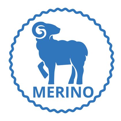 6 motive de ce să purtați haine din lână Merino