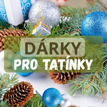 Od kutila po sportovce: Vánoční dárky pro každého tatínka