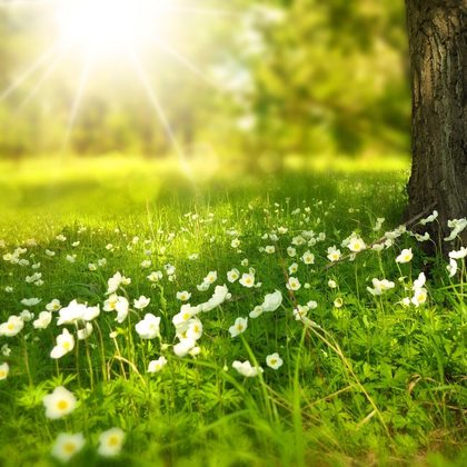 Jak se připravit na jaro