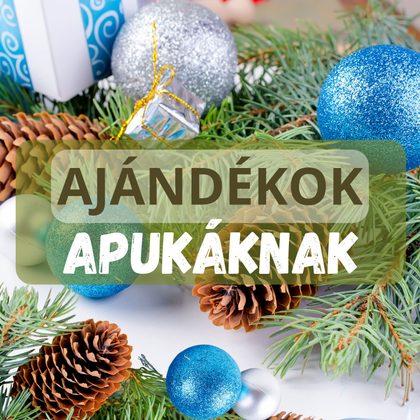 A barkácsolástól a sportolásig: Karácsonyi ajándékok minden apukának