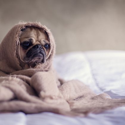 Hogyan lehet megfelelően mosni az ágyneműt