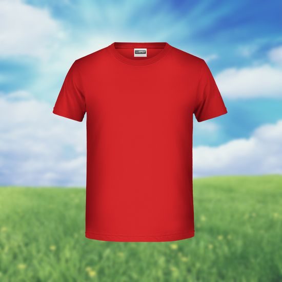 TRICOU CLASIC PENTRU BĂIEȚI DIN BUMBAC ORGANIC 8008B - TRICOURI DIN BUMBAC ORGANIC - ÎMBRĂCĂMINTE