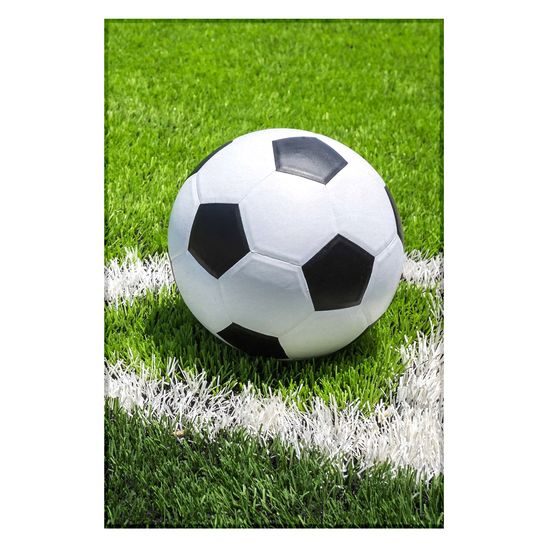 FLEECOVÁ DEKA S MOTÍVOM FUTBAL - DEKY - DOMÁCNOSŤ