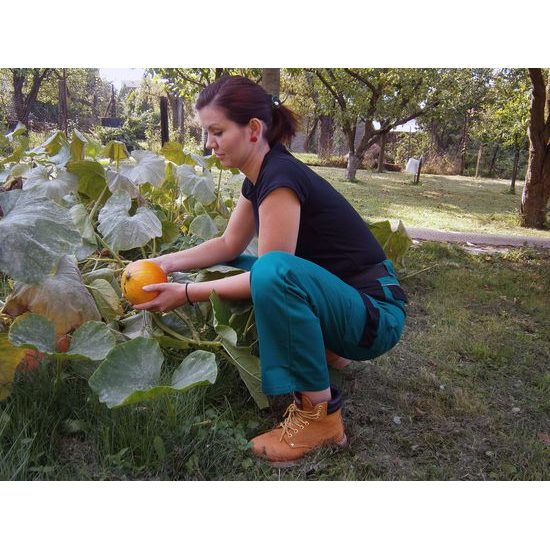 PANTALONI DE LUCRU PENTRU FEMEI COOL TREND - PANTALONI FĂRĂ BRETELE - HAINE DE LUCRU