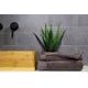OSUŠKA ORGANIC 70X140 - OSUŠKY - DOMÁCNOSŤ