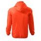 WINDJACKE WINDY - JACKEN - KLEIDUNG