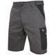 ARBEITSSHORTS CXS PHOENIX ZEFYROS - ARBEITSSHORTS - ARBEITS KLEIDUNG