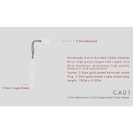 iBasso CA01