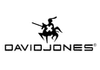 David Jones Paris