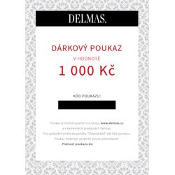 DELMAS DÁRKOVÝ POUKAZ 1 000 KČ - DÁRKOVÉ ŠEKY