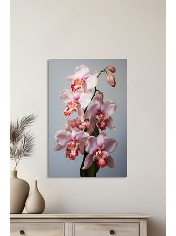 Obraz na stenu kvet orchidea