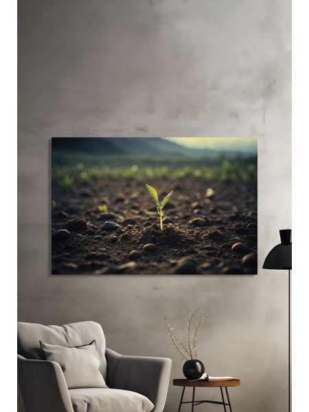 Obraz na stenu klíčenie