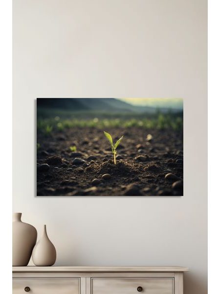 Obraz na stenu klíčenie