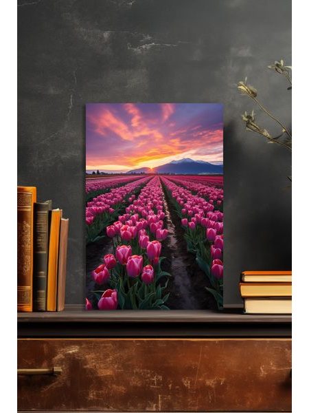 Obraz na stenu - Tulipánové pole - západ slnka