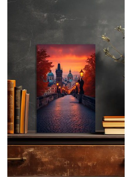 Obraz na stenu Karlov most