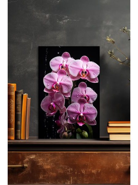 Obraz na stenu kvet orchidea