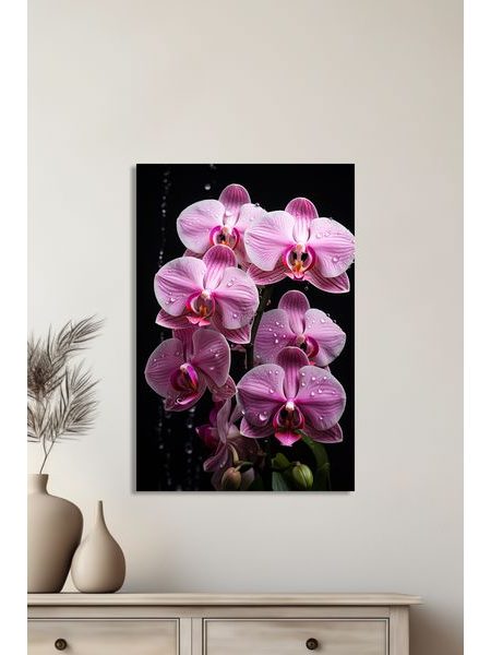 Obraz na stenu kvet orchidea