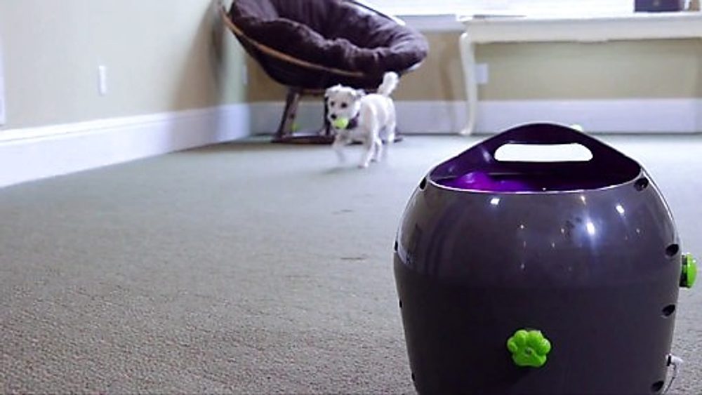 BAZAR - Automatický vrhač míčků PetSafe - Lehce použité | P13165 (obrázek 3)