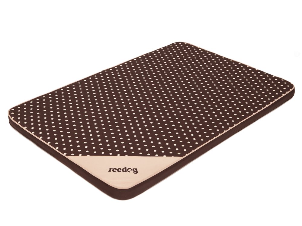 Podložka pre psa Reedog Thin Point - L.
 
Podložky pre psa Reedog sú pohodlným, mäkkým pelechom pre vašeho psíka.
Výhodou podložky je povrch, ktorý môžete jednoducho dať dole a vyprať v práčke. 

Podložky pre psov REEDOG sú vyrobené z kvalitného materiálu cordura. 

 
Podložka Reedog je pre malé, stredné aj veľké plemená psov.
 
 Výhody

kvalitný a odolný materiál cordura
vhodné pre každého psíka
nápaditý design
pratelné

 Nevýhody

žiadne

 Obsah balení

Podložka pre psa Reedog
Technické špecifikácie sa môžu zmeniť bez predchádzajúceho upozornenia.