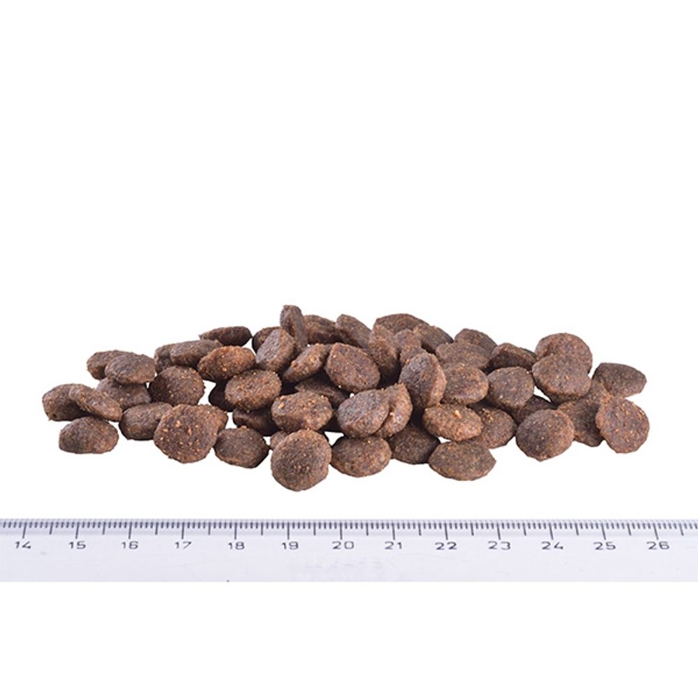 Expirácia 20.5. 2026: Brit Care Mini GF Yorkshire Losos & Tuniak 7 kg