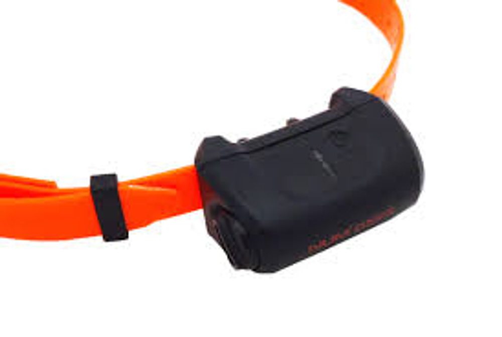 Halsband und Empfänger Canicom 5 - černá.
 
Achtung!