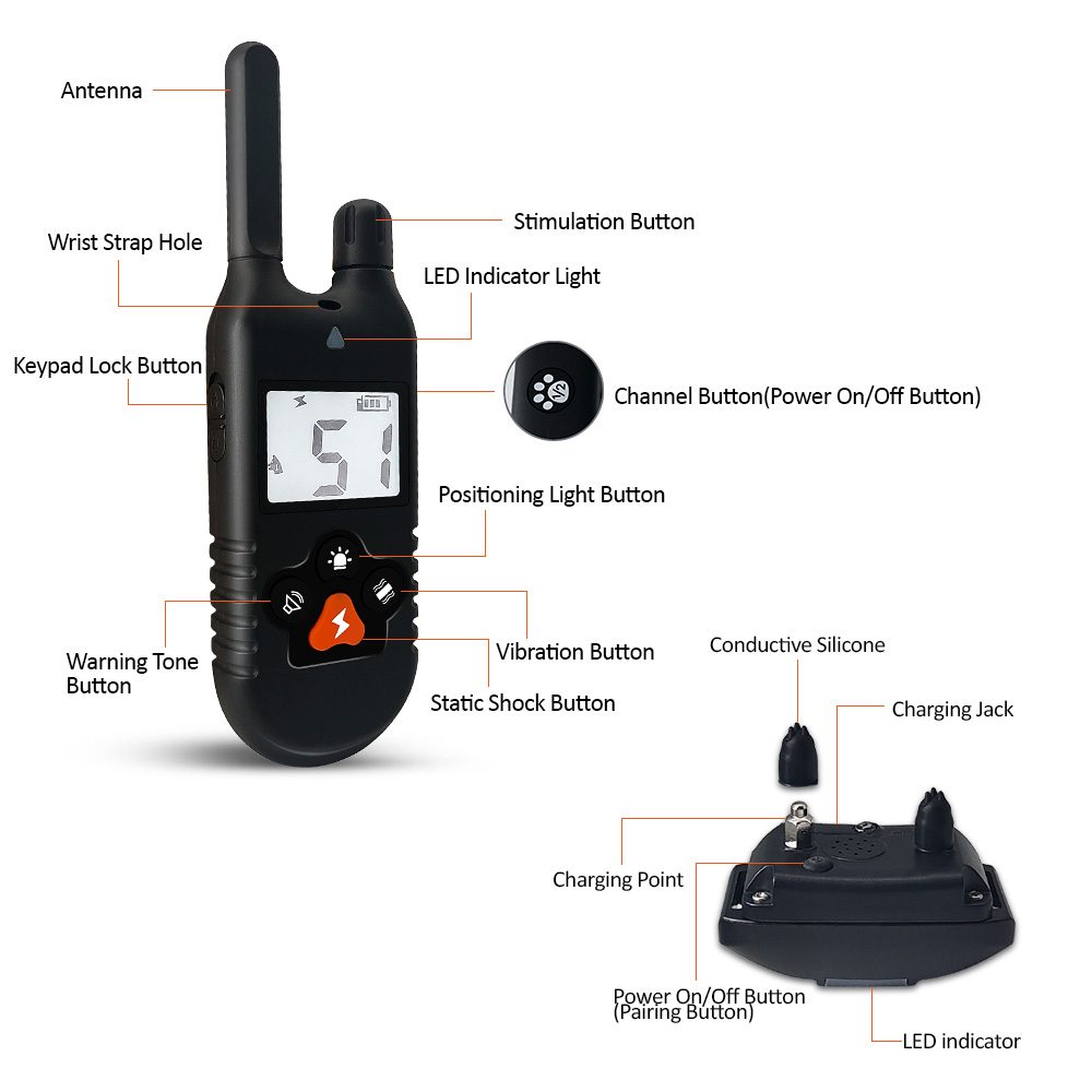 Reedog P30 - pro 1 psa