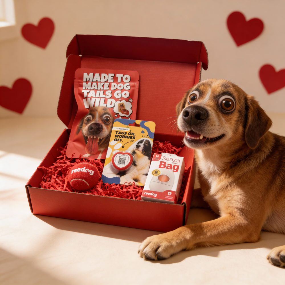 Reedog Valentínsky box pre psíkov