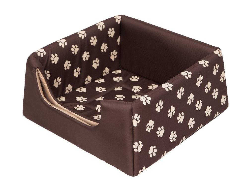 Reedog Pyramida 2v1 Brown Paws - S (obrázek 5)
