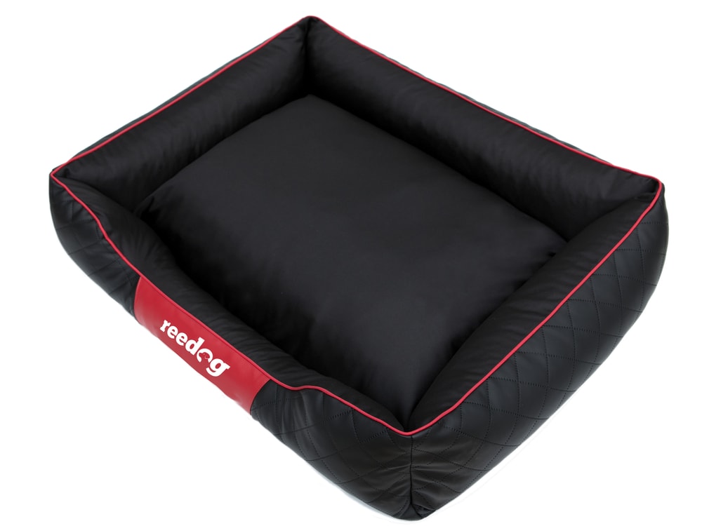 Hundebett Reedog Black & Red Perfection - 3XL.
Hochwertige Durchführung und strapazierfähiges Material sorgen für die schönen Träume Ihres Hundes
Hundebett Reedog Perfection können Sie aus verschiedenen Größen wählen.
 

 

 
Vorteile

hochwertiges und langlebiges Material
auch für die größten Rassen geeignet
hoher Rand
Luxusdesign
waschbar

 
Inhalt der Packung

Reedog Hundebett