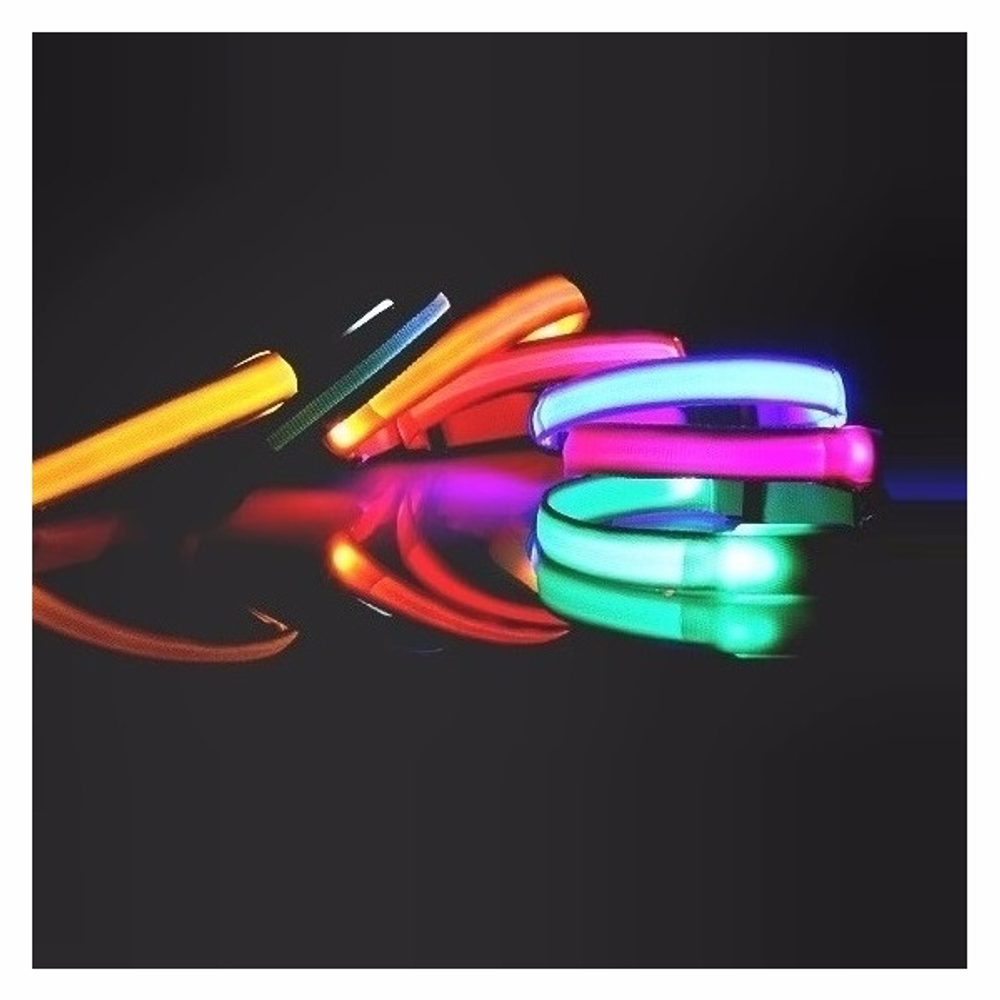 Reedog USB svietiaci obojok pre psy a mačky NEW - Modrá - 52 - 60 cm