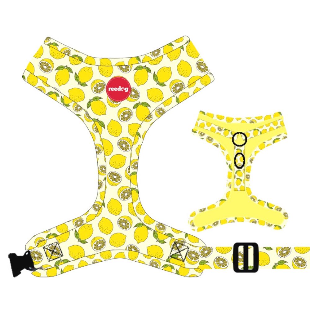Reedog LEMON - XXS