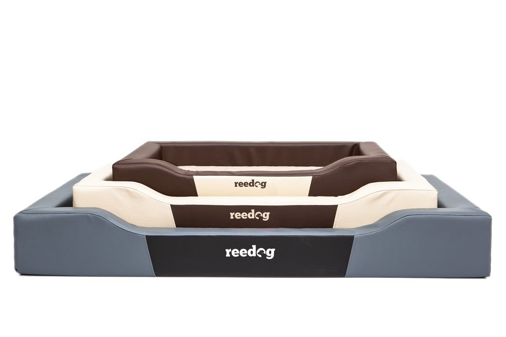 Hundenestchen Reedog Deluxe Brown - XL.
Das Hundenestchen Reedog Deluxe können Sie in einigen Varianten und Grössen kaufen.

Das Hundenestchen Reedog Deluxe ist für kleine, mittlere, aber auch grosse Hunderassen.




 
 