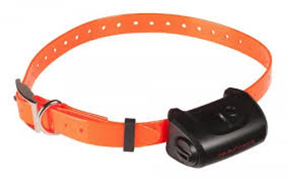 Halsband und Empfänger Canicom 5 - černá.
 
Achtung!