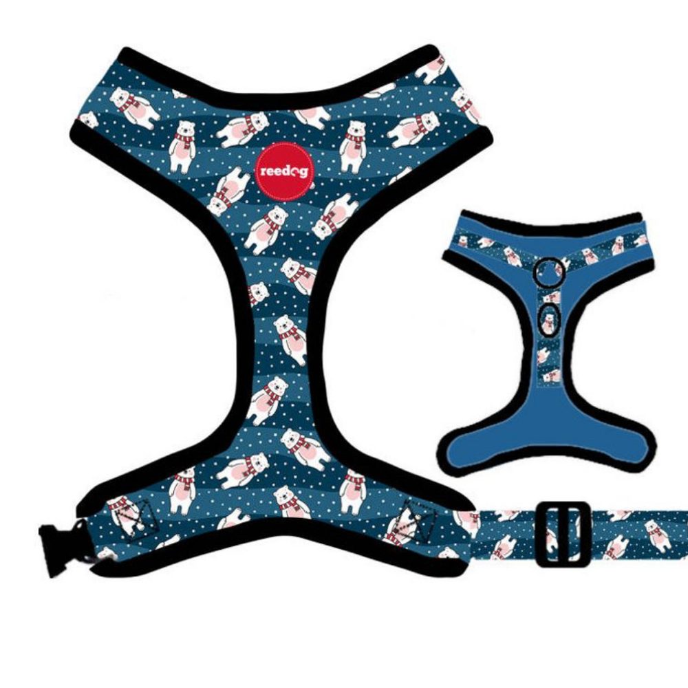 Reedog BEAR - XS
