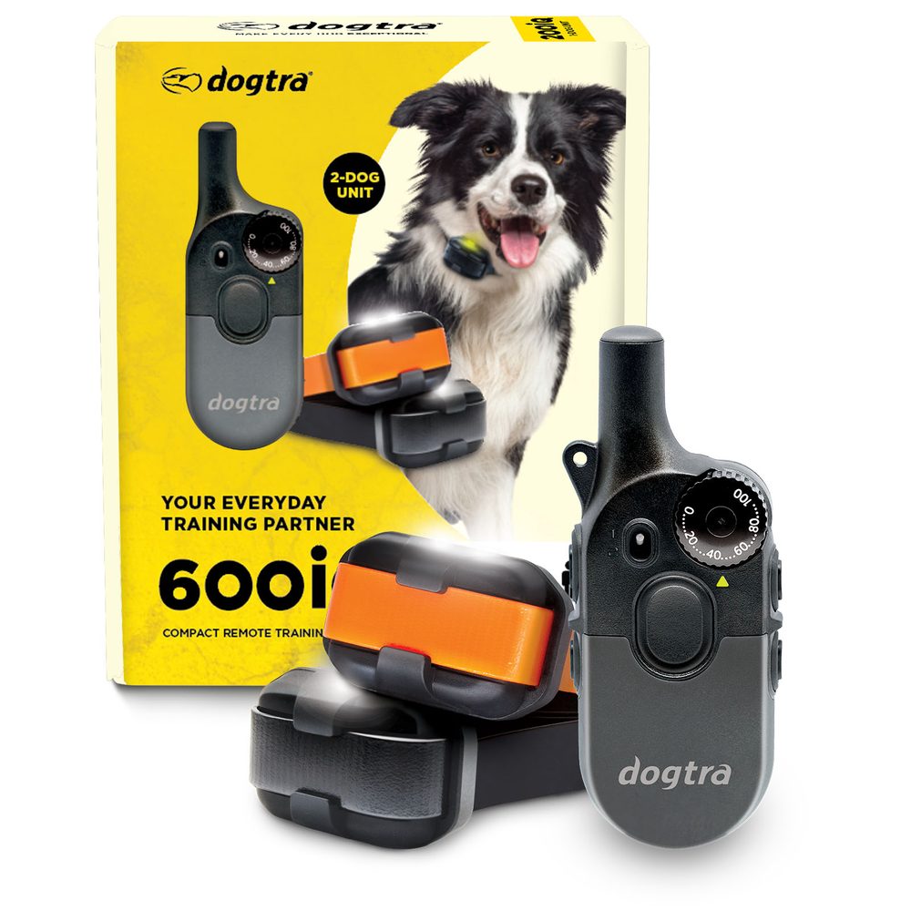 Dogtra 600iQ
