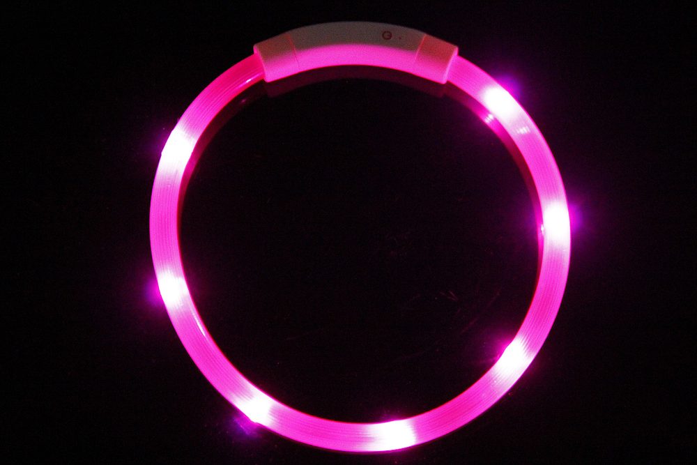 Reedog Easy Light USB dobíjecí svítící obojek pro psy a kočky - Modrá (obrázek 9)