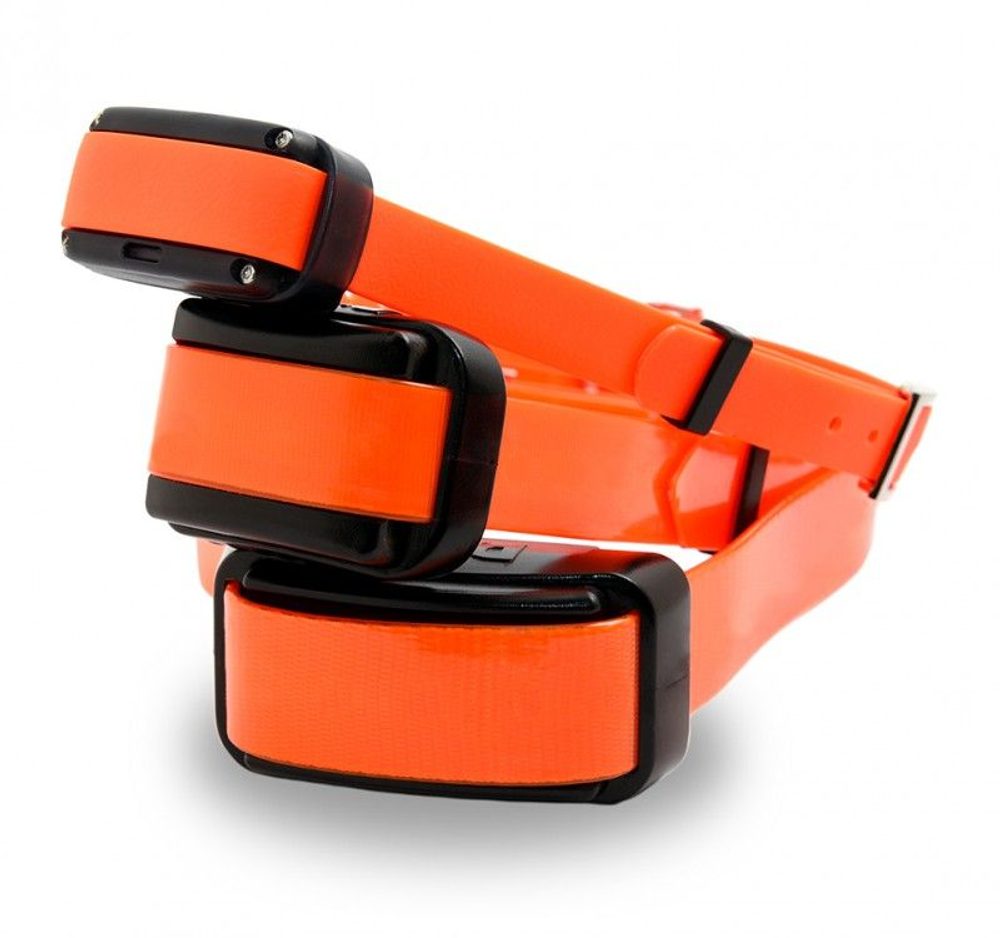 Dogtrace d-control professional 1000 - orange (obrázek 5)