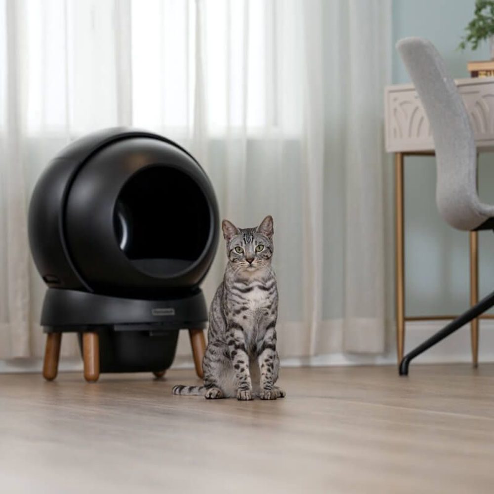 PetSafe® ScoopFree SmartSpin™ – čierna